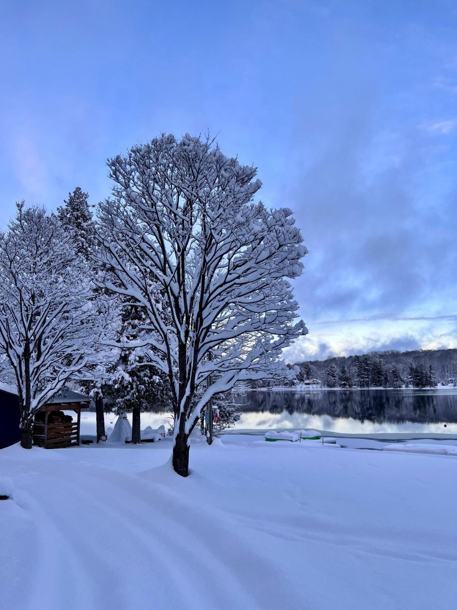 Bonnie View Inn ฮาลีเบอร์ตัน ภายนอก รูปภาพ